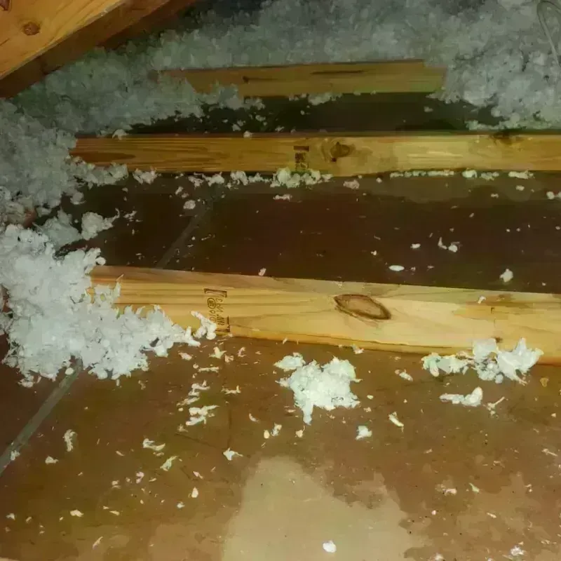 Attic Water Damage in Sterling County, TX