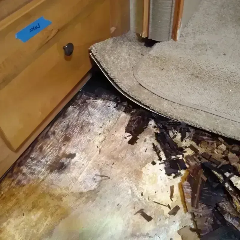 Wood Floor Water Damage in Sterling County, TX